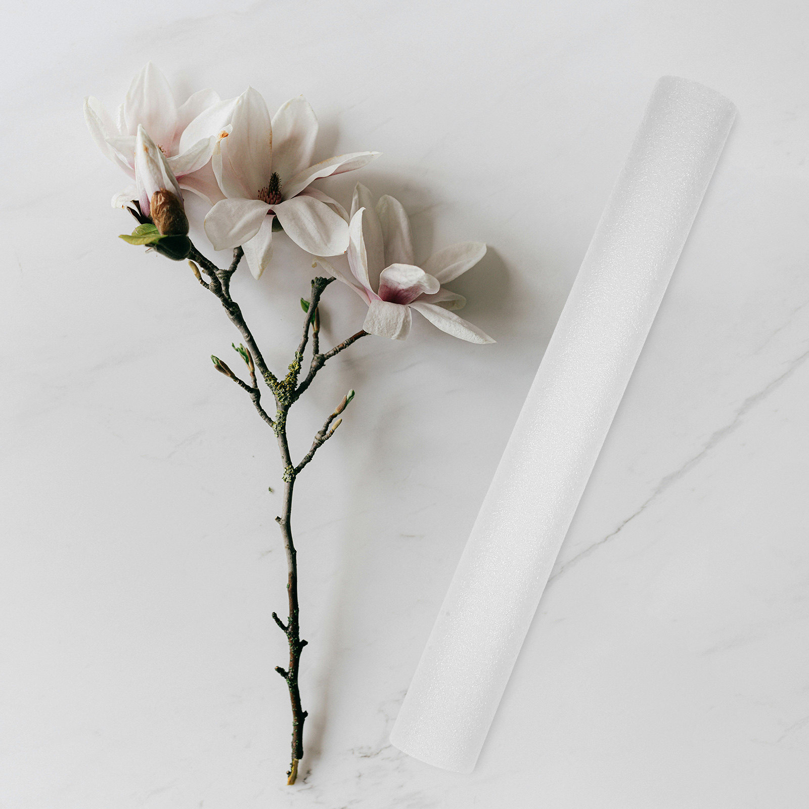 白いフォームロッド5本セット、長さ40cm。生け花用、ウェデ - Florist Flower Supply のレビューと価格